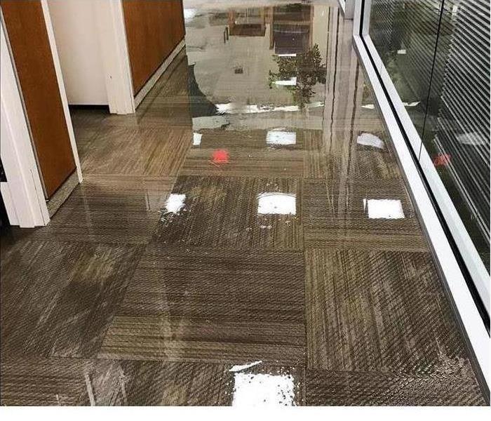 Commercial grade carpet water damage standing water on carpet