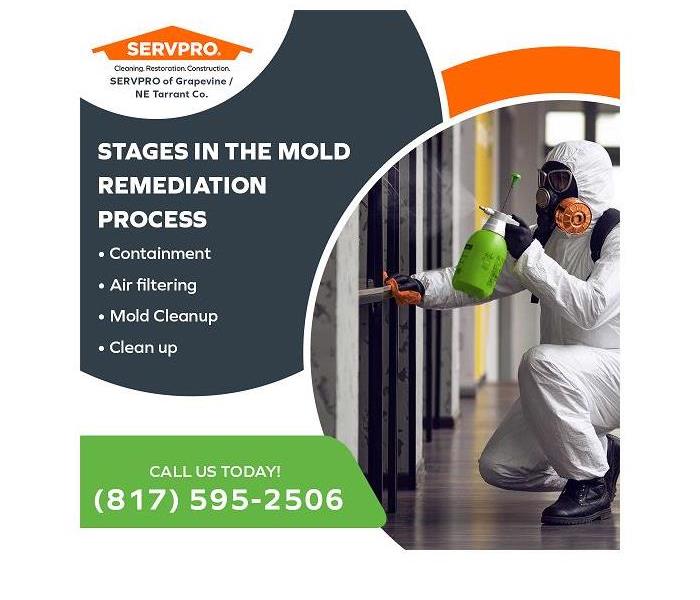 A SERVPRO technician performing mold remediation